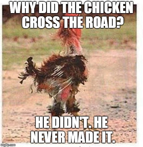 Mangled Chicken - Chicken Week! | WHY DID THE CHICKEN CROSS THE ROAD? HE DIDN'T. HE NEVER MADE IT. | image tagged in mangled chicken,chicken week,why did the chicken cross the road,clean,jokes,owch | made w/ Imgflip meme maker