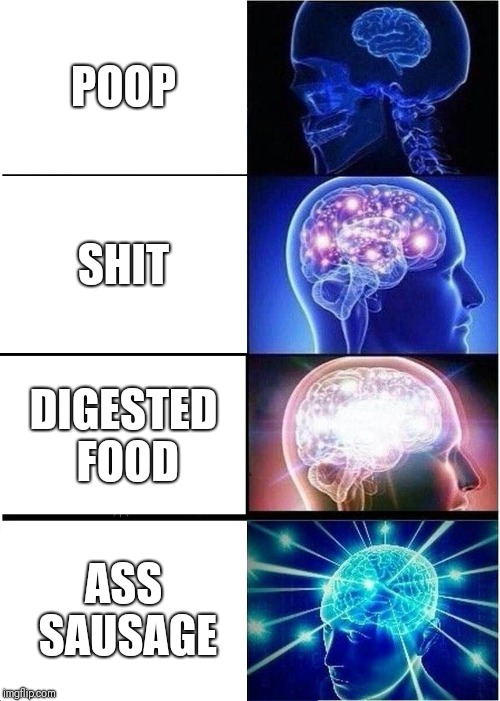 The digestive tract  | POOP; SHIT; DIGESTED FOOD; ASS SAUSAGE | image tagged in memes,expanding brain | made w/ Imgflip meme maker