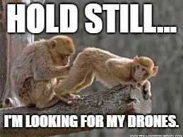 search | HOLD STILL... I'M LOOKING FOR MY DRONES. | image tagged in search | made w/ Imgflip meme maker