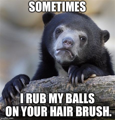 Confession Bear | SOMETIMES; I RUB MY BALLS ON YOUR HAIR BRUSH. | image tagged in memes,confession bear | made w/ Imgflip meme maker