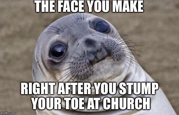 Awkward Moment Sealion | THE FACE YOU MAKE; RIGHT AFTER YOU STUMP YOUR TOE AT CHURCH | image tagged in memes,awkward moment sealion | made w/ Imgflip meme maker