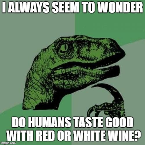 Philosoraptor Meme | I ALWAYS SEEM TO WONDER; DO HUMANS TASTE GOOD WITH RED OR WHITE WINE? | image tagged in memes,philosoraptor | made w/ Imgflip meme maker