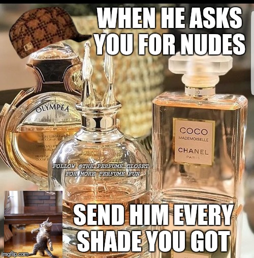When he asks for nudes  | WHEN HE ASKS YOU FOR NUDES; FOLLOW @THE_PERFUME_CLOSET FOR MORE PERFUME FUN; SEND HIM EVERY SHADE YOU GOT | image tagged in send nudes,nudes,perfume | made w/ Imgflip meme maker