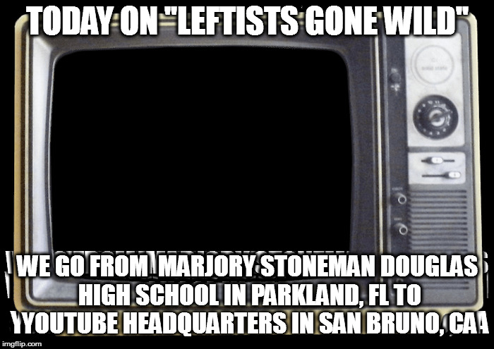TODAY ON "LEFTISTS GONE WILD"; WE GO FROM  MARJORY STONEMAN DOUGLAS HIGH SCHOOL IN PARKLAND, FL TO YOUTUBE HEADQUARTERS IN SAN BRUNO, CA | image tagged in second 2nd amendment shooting leftists guns | made w/ Imgflip meme maker