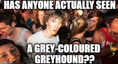 I'm sure it's been seen, but I personally haven't | HAS ANYONE ACTUALLY SEEN; A GREY-COLOURED GREYHOUND?? | image tagged in memes,sudden clarity clarence | made w/ Imgflip meme maker