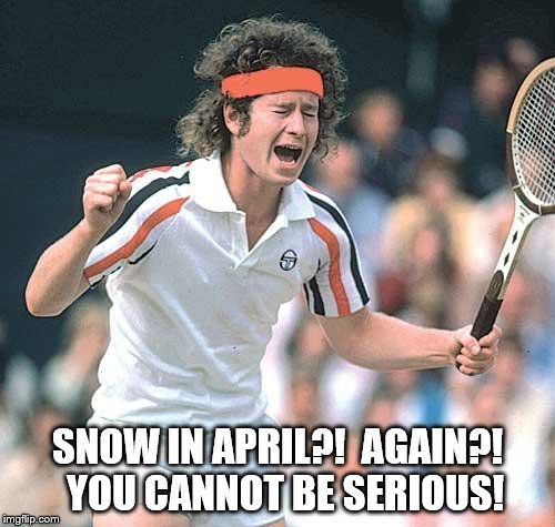 McEnroe | SNOW IN APRIL?!  AGAIN?!  YOU CANNOT BE SERIOUS! | image tagged in mcenroe | made w/ Imgflip meme maker