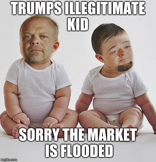 Pawn stars babies | TRUMPS ILLEGITIMATE KID SORRY THE MARKET IS FLOODED | image tagged in pawn stars babies | made w/ Imgflip meme maker