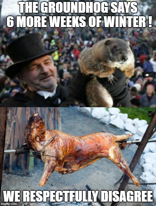 Winter has outworn its welcome.. Time for some nice weather ! | THE GROUNDHOG SAYS 6 MORE WEEKS OF WINTER ! WE RESPECTFULLY DISAGREE | image tagged in punxsutawney phil,groundhog day,winter,grilled groundhog,bye phil | made w/ Imgflip meme maker