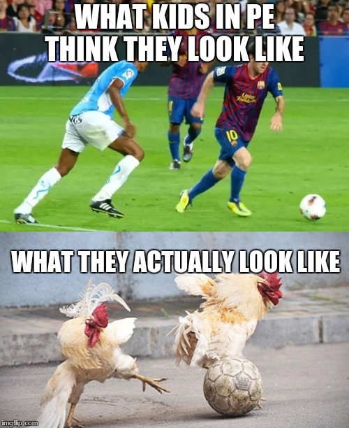 Another day at my school | WHAT KIDS IN PE THINK THEY LOOK LIKE; WHAT THEY ACTUALLY LOOK LIKE | image tagged in school,soccer,chicken week | made w/ Imgflip meme maker