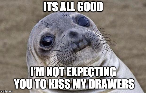 Awkward Moment Sealion Meme | ITS ALL GOOD I'M NOT EXPECTING YOU TO KISS MY DRAWERS | image tagged in memes,awkward moment sealion | made w/ Imgflip meme maker