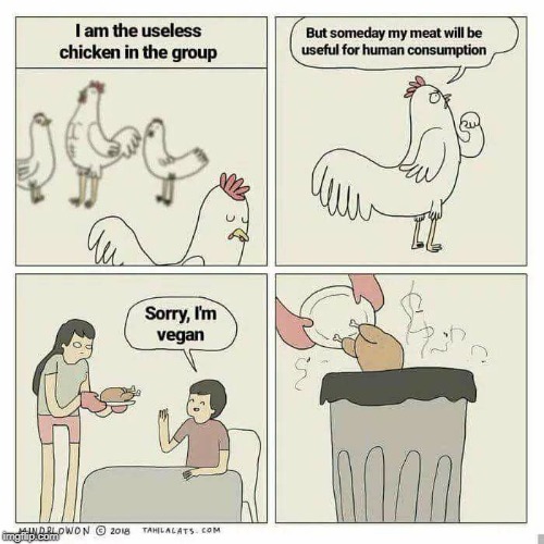 Most useless chicken in the world | image tagged in funny memes,vegan | made w/ Imgflip meme maker