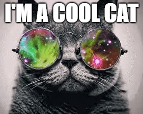 I'M A COOL CAT | made w/ Imgflip meme maker