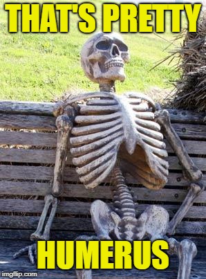 Waiting Skeleton Meme | THAT'S PRETTY HUMERUS | image tagged in memes,waiting skeleton | made w/ Imgflip meme maker