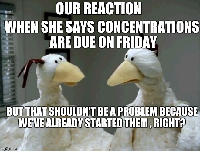 This is the reaction on Thursday night by the way | OUR REACTION; WHEN SHE SAYS CONCENTRATIONS ARE DUE ON FRIDAY; BUT THAT SHOULDN'T BE A PROBLEM BECAUSE WE'VE ALREADY STARTED THEM , RIGHT? | image tagged in worried chickens,art,school,procrastination | made w/ Imgflip meme maker