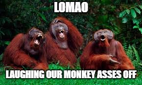 LOMAO; LAUGHING OUR MONKEY ASSES OFF | image tagged in funny,laughing,monkey,monkey asses,lmao | made w/ Imgflip meme maker