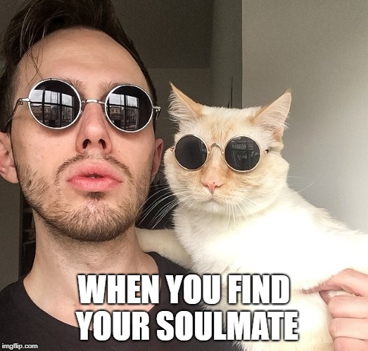 Catmate | WHEN YOU FIND YOUR SOULMATE | image tagged in memes,cat | made w/ Imgflip meme maker