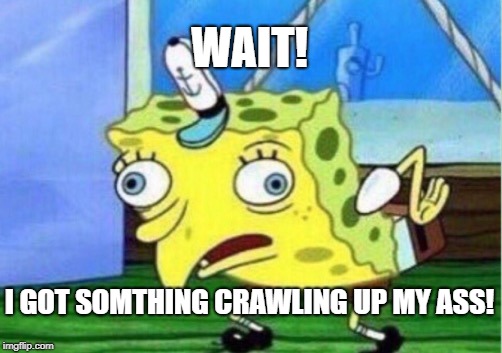 Mocking Spongebob | WAIT! I GOT SOMTHING CRAWLING UP MY ASS! | image tagged in memes,mocking spongebob | made w/ Imgflip meme maker