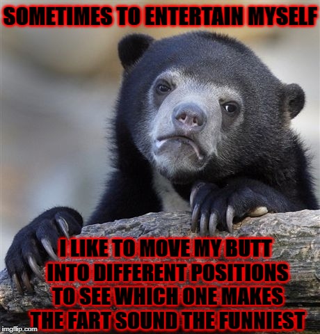 Confession Bear Meme | SOMETIMES TO ENTERTAIN MYSELF; I LIKE TO MOVE MY BUTT INTO DIFFERENT POSITIONS TO SEE WHICH ONE MAKES THE FART SOUND THE FUNNIEST | image tagged in memes,confession bear | made w/ Imgflip meme maker