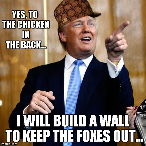 I will make the foxes pay for the wall! | YES, TO THE CHICKEN IN THE BACK... I WILL BUILD A WALL TO KEEP THE FOXES OUT... | image tagged in donald trump,scumbag | made w/ Imgflip meme maker
