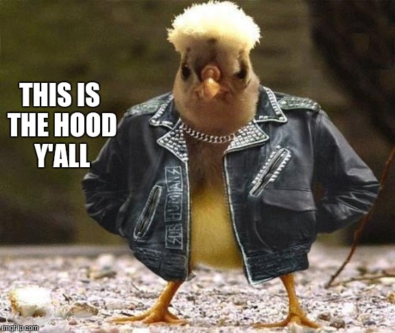 Chicken week (April 2 - 8 a JBmemegeek and giveuahint event) | THIS IS THE HOOD Y'ALL | image tagged in chicken,chicken week,memes | made w/ Imgflip meme maker