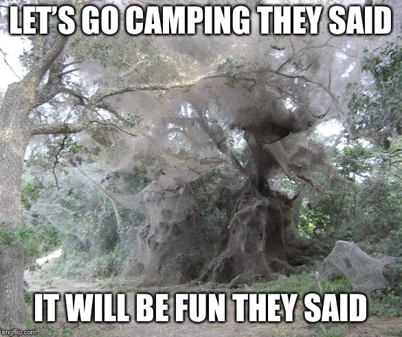 LET’S GO CAMPING THEY SAID; IT WILL BE FUN THEY SAID | image tagged in lets go camping they said | made w/ Imgflip meme maker