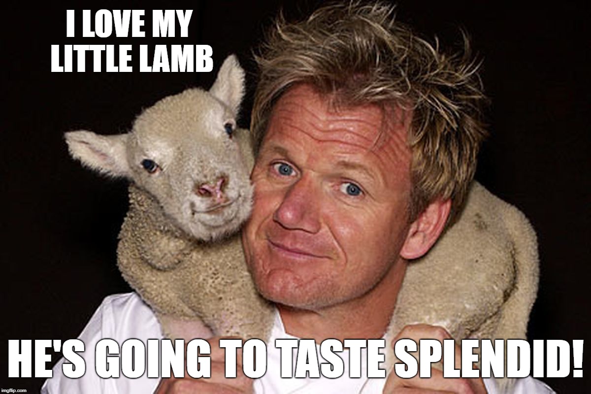 Gordon Ramsay Lamb | I LOVE MY LITTLE LAMB; HE'S GOING TO TASTE SPLENDID! | image tagged in gordon ramsay,chef gordon ramsay,lamb | made w/ Imgflip meme maker