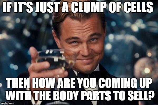 Leonardo Dicaprio Cheers | IF IT'S JUST A CLUMP OF CELLS; THEN HOW ARE YOU COMING UP WITH THE BODY PARTS TO SELL? | image tagged in memes,leonardo dicaprio cheers | made w/ Imgflip meme maker