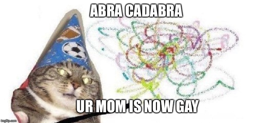 High Wizard Cat | ABRA CADABRA; UR MOM IS NOW GAY | image tagged in high wizard cat | made w/ Imgflip meme maker