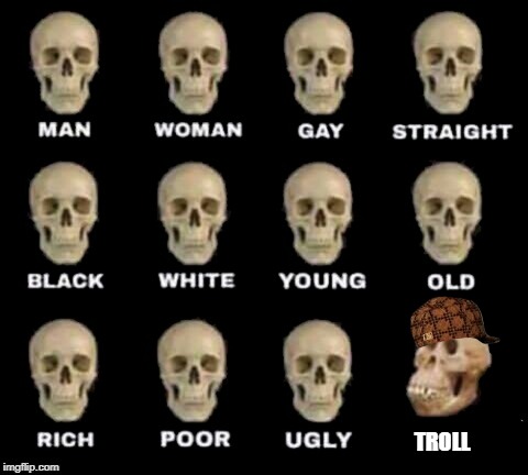 Idiot Skull | TROLL | image tagged in idiot skull,scumbag,trolls | made w/ Imgflip meme maker