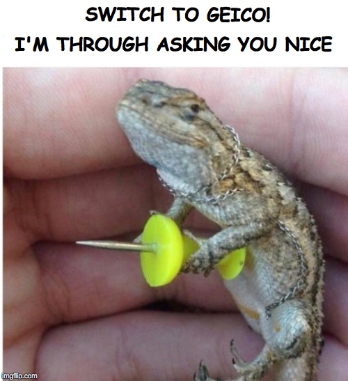 I'M THROUGH ASKING YOU NICE; SWITCH TO GEICO! | image tagged in geico gecko | made w/ Imgflip meme maker