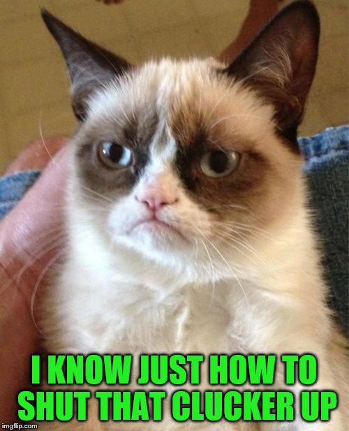 Grumpy Cat Meme | I KNOW JUST HOW TO SHUT THAT CLUCKER UP | image tagged in memes,grumpy cat | made w/ Imgflip meme maker