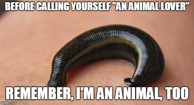 I'm Also An Animal
 | BEFORE CALLING YOURSELF "AN ANIMAL LOVER"; REMEMBER, I'M AN ANIMAL, TOO | image tagged in animals,cute animals,leech,hypocrisy,reminder | made w/ Imgflip meme maker