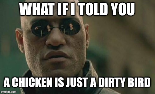 Matrix Morpheus Meme | WHAT IF I TOLD YOU; A CHICKEN IS JUST A DIRTY BIRD | image tagged in memes,matrix morpheus | made w/ Imgflip meme maker