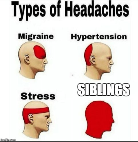 Types of Headaches meme | SIBLINGS | image tagged in types of headaches meme | made w/ Imgflip meme maker