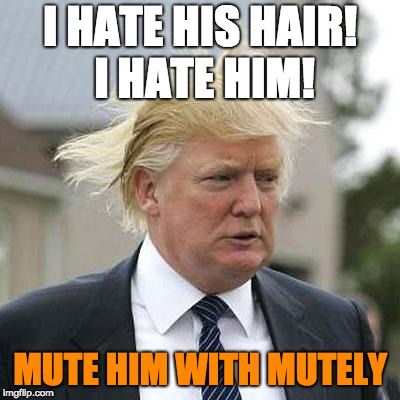 Donald Trump | I HATE HIS HAIR! I HATE HIM! MUTE HIM WITH MUTELY | image tagged in donald trump | made w/ Imgflip meme maker