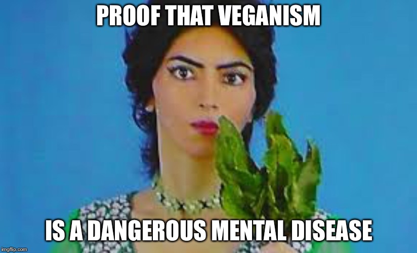 PROOF THAT VEGANISM; IS A DANGEROUS MENTAL DISEASE | image tagged in memes,funny,veganism,youtube | made w/ Imgflip meme maker