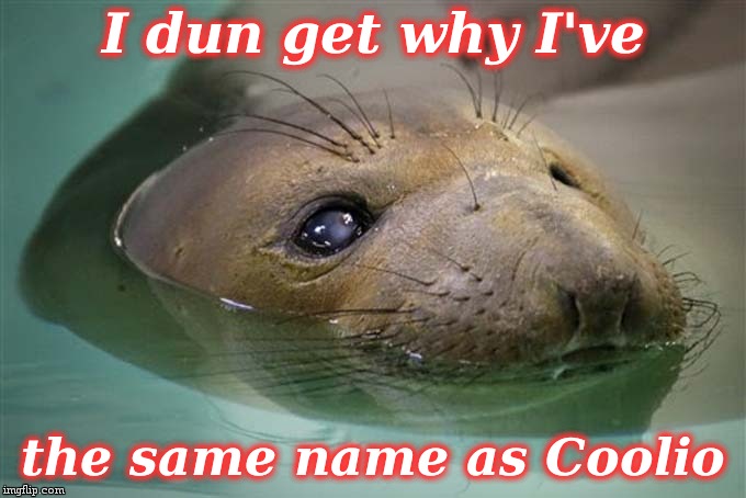 Coolio | I dun get why I've; the same name as Coolio | image tagged in coolio | made w/ Imgflip meme maker