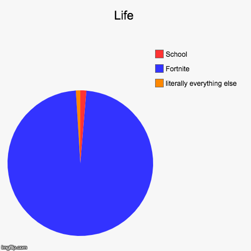 Life | literally everything else , Fortnite, School | image tagged in funny,pie charts | made w/ Imgflip chart maker