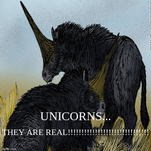 UNICORNS ARE REAL | image tagged in unicorns | made w/ Imgflip demotivational maker