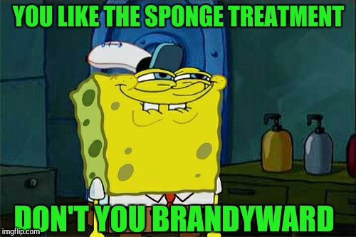 Don't You Squidward Meme | YOU LIKE THE SPONGE TREATMENT DON'T YOU BRANDYWARD | image tagged in memes,dont you squidward | made w/ Imgflip meme maker