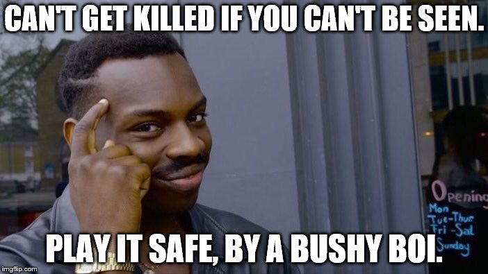 Roll Safe Think About It Meme | CAN'T GET KILLED IF YOU CAN'T BE SEEN. PLAY IT SAFE, BY A BUSHY BOI. | image tagged in memes,roll safe think about it | made w/ Imgflip meme maker