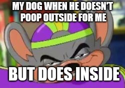 Smirk E. Cheese | MY DOG WHEN HE DOESN'T POOP OUTSIDE FOR ME; BUT DOES INSIDE | image tagged in smirk e cheese | made w/ Imgflip meme maker