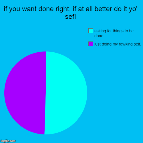 if you want done right, if at all better do it yo' sef! | just doing my fawking self., asking for things to be done | image tagged in funny,pie charts | made w/ Imgflip chart maker