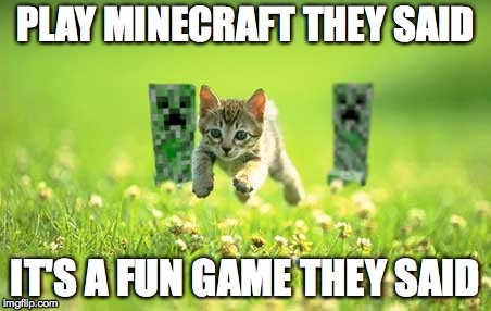 Unlucky... | PLAY MINECRAFT THEY SAID; IT'S A FUN GAME THEY SAID | image tagged in cats,minecraft | made w/ Imgflip meme maker