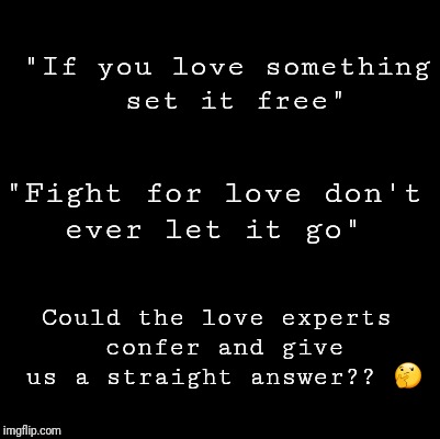 Blank | "If you love something set it free"; "Fight for love don't ever let it go"; Could the love experts confer and give us a straight answer?? 🤔 | image tagged in blank | made w/ Imgflip meme maker