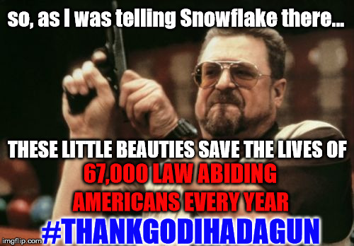 Am I The Only One Around Here Meme | so, as I was telling Snowflake there... #THANKGODIHADAGUN THESE LITTLE BEAUTIES SAVE THE LIVES OF 67,000 LAW ABIDING AMERICANS EVERY YEAR | image tagged in memes,am i the only one around here | made w/ Imgflip meme maker