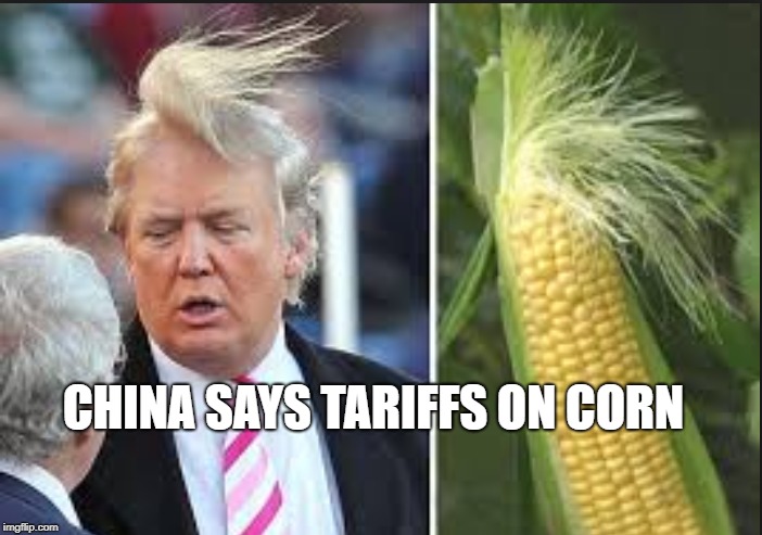 China Retaliation | CHINA SAYS TARIFFS ON CORN | image tagged in donald trumph hair | made w/ Imgflip meme maker