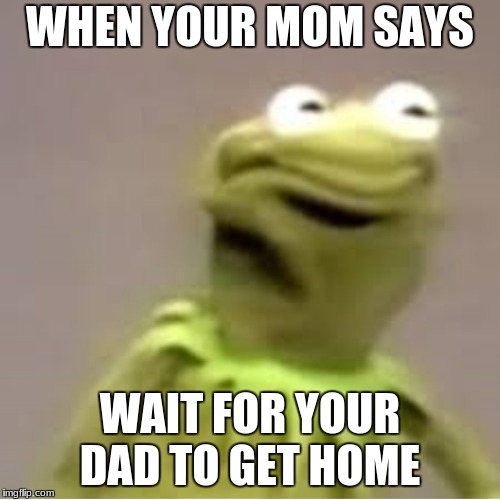 WHEN YOUR MOM SAYS; WAIT FOR YOUR DAD TO GET HOME | image tagged in kermit the frog,dank memes,memes,dank | made w/ Imgflip meme maker