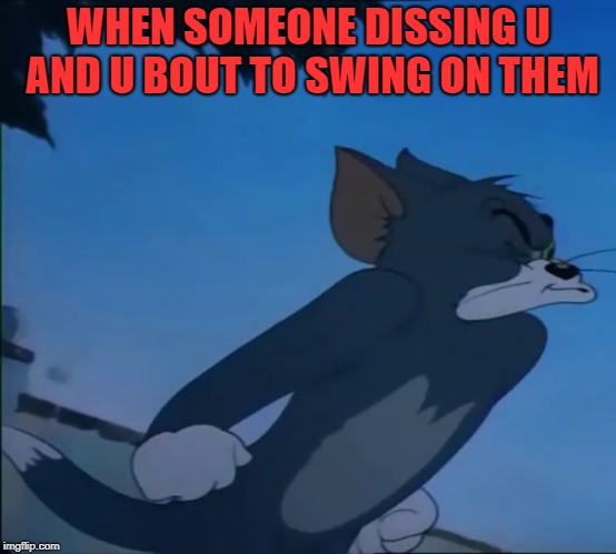 Mad Cat | WHEN SOMEONE DISSING U AND U BOUT TO SWING ON THEM | image tagged in memes | made w/ Imgflip meme maker