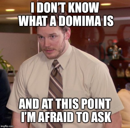 Afraid To Ask Andy Meme | I DON’T KNOW WHAT A DOMIMA IS; AND AT THIS POINT I’M AFRAID TO ASK | image tagged in memes,afraid to ask andy | made w/ Imgflip meme maker